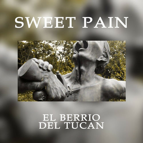 El Berrío del Tucán sleeve