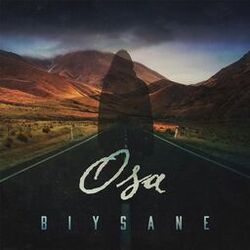 Cover of B.I.Y.S.A.N.E.