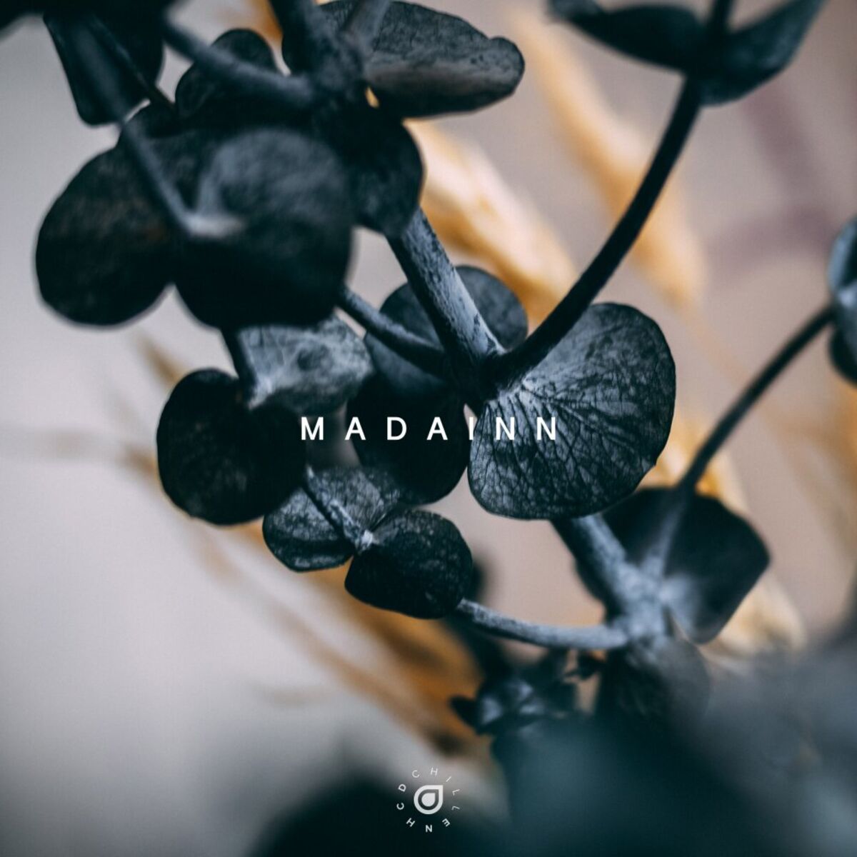 Album cover of Madainn