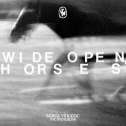 Cover of Wide open, horses