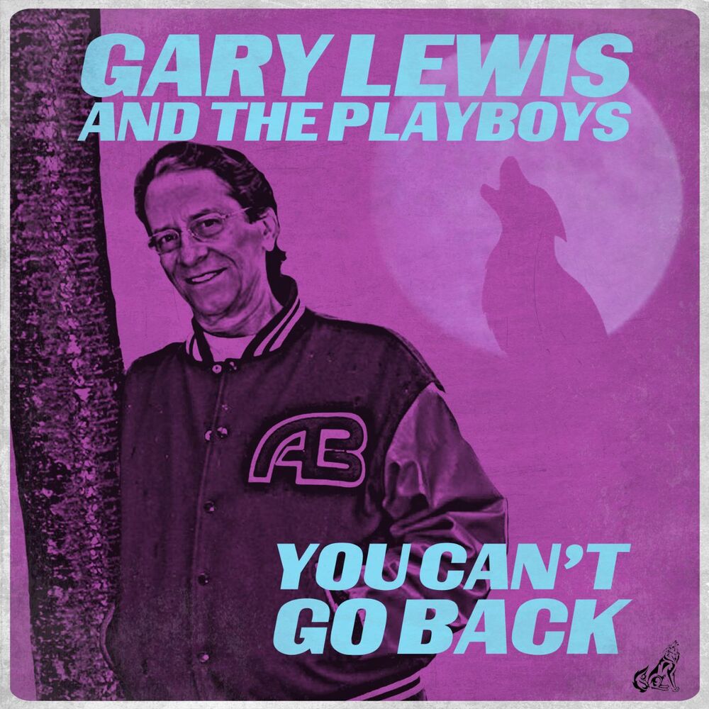 Picture of You Can't Go Back