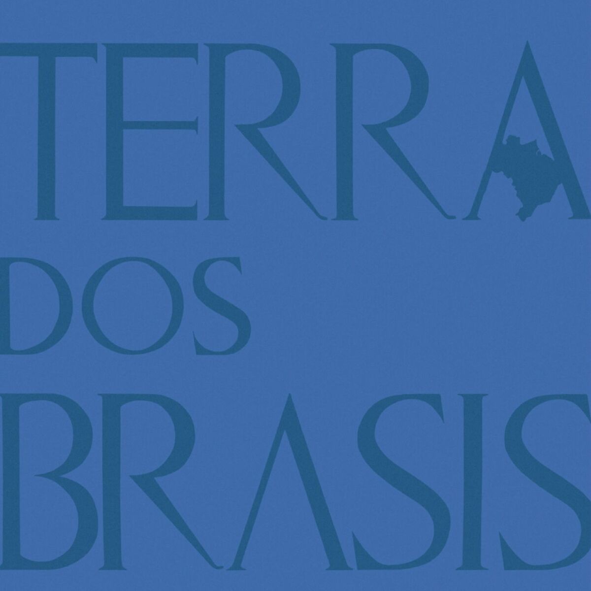 Album cover of Terra dos Brasis