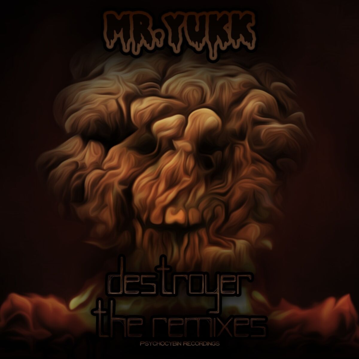 Album cover of Destroyer The Remixes EP