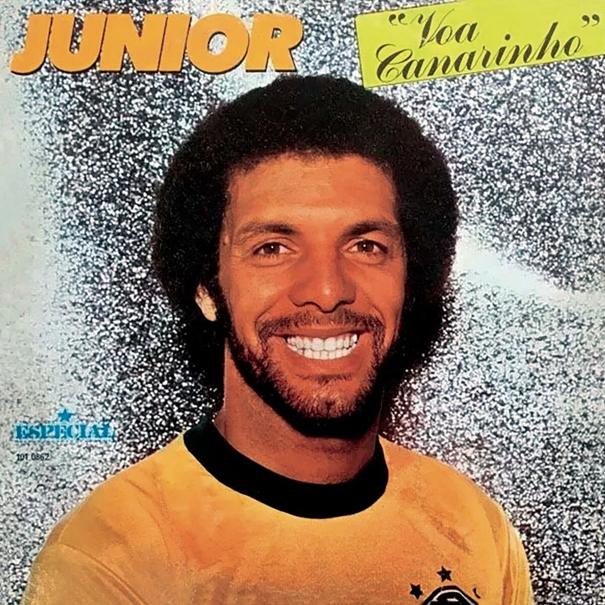 Album cover of Voa Canarinho