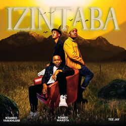 Cover of Izintaba