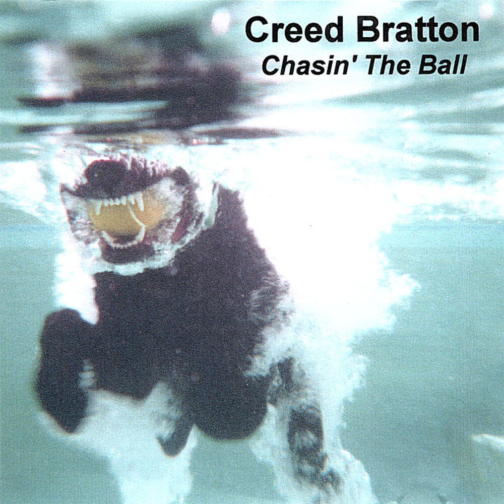 Picture of Chasin' The Ball