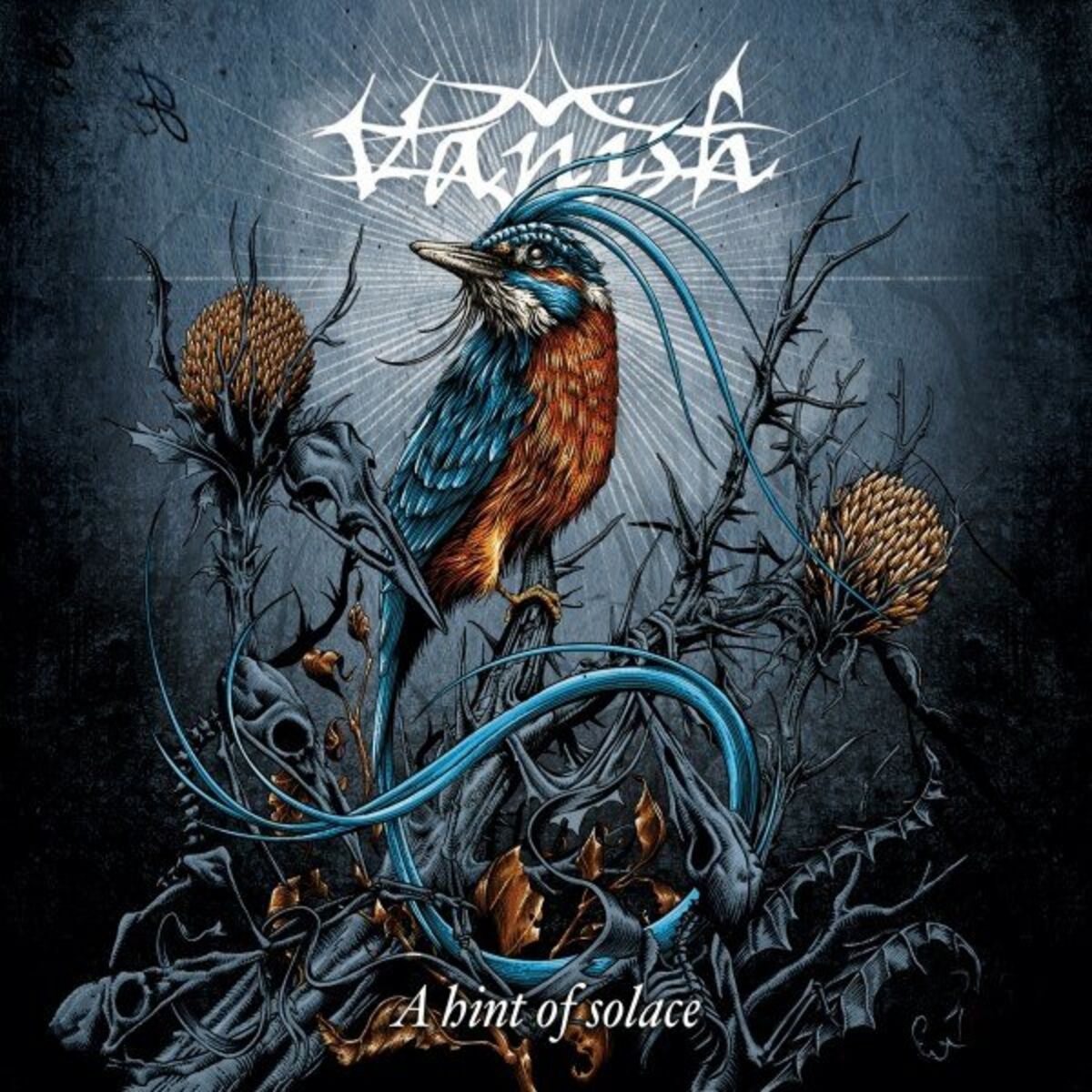 Album cover of A Hint of Solace