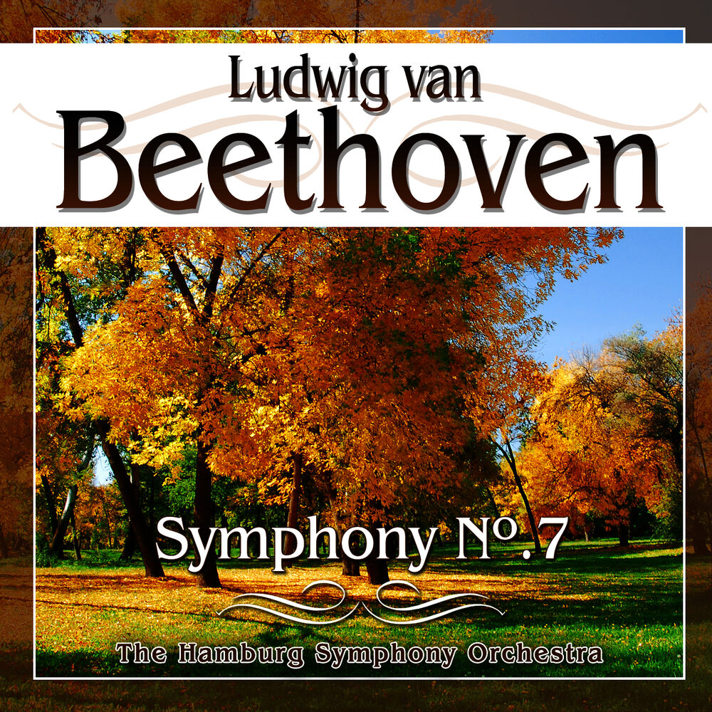Picture of Beethoven. Symphony No.7