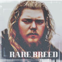 Cover of RARE BREED
