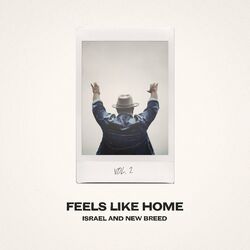 Cover of Feels Like Home, Vol. 2