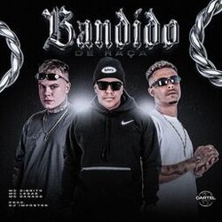 Cover of Bandida de Raça