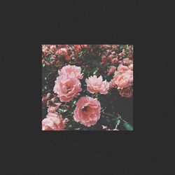 Cover of Forgive Me