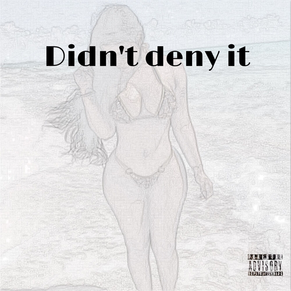 Picture of Didn't Deny It