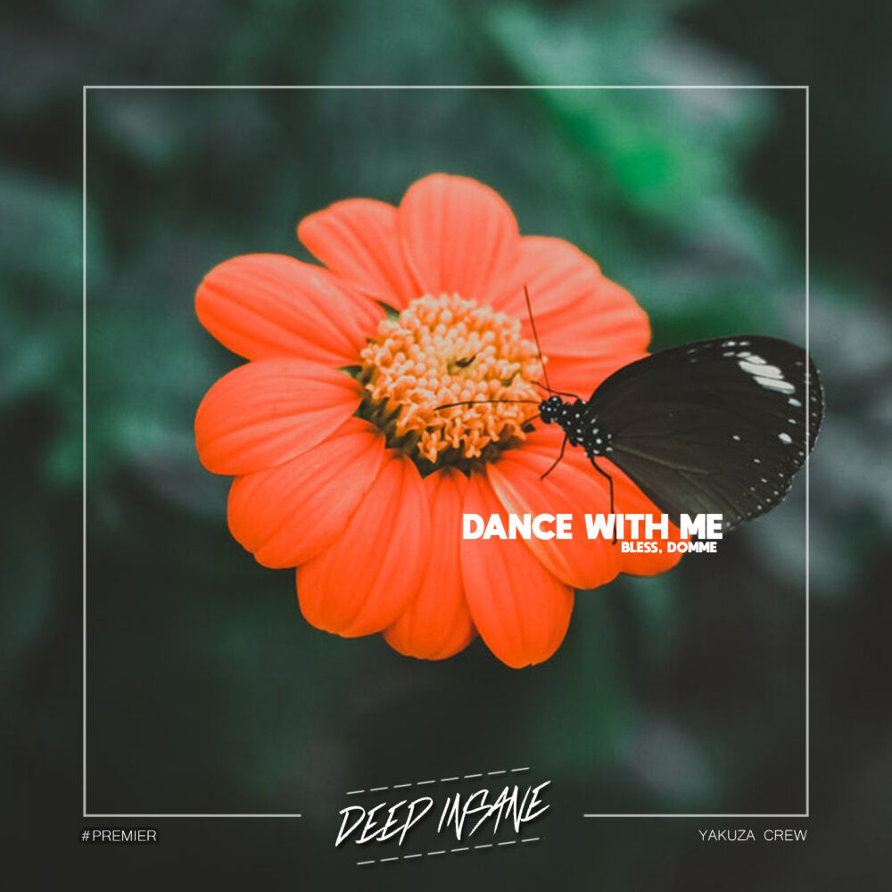 Picture of Dance With Me