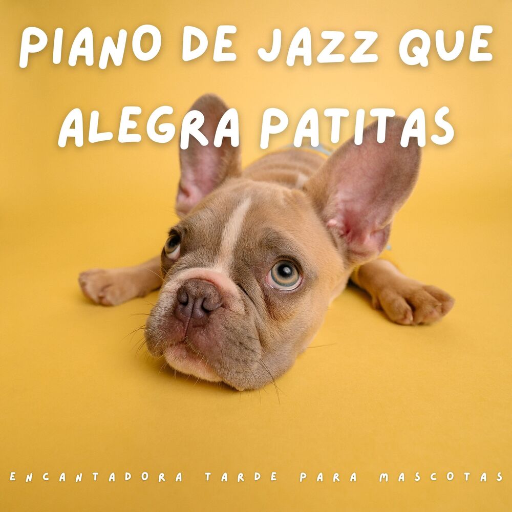 Picture of Piano De Jazz Que Alegra Patitas: Encantadora Tarde Para Mascotas