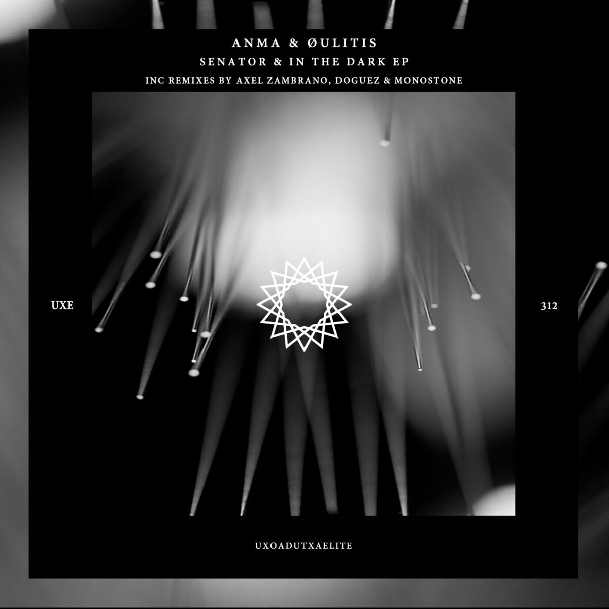 Album cover of Senator & in the Dark