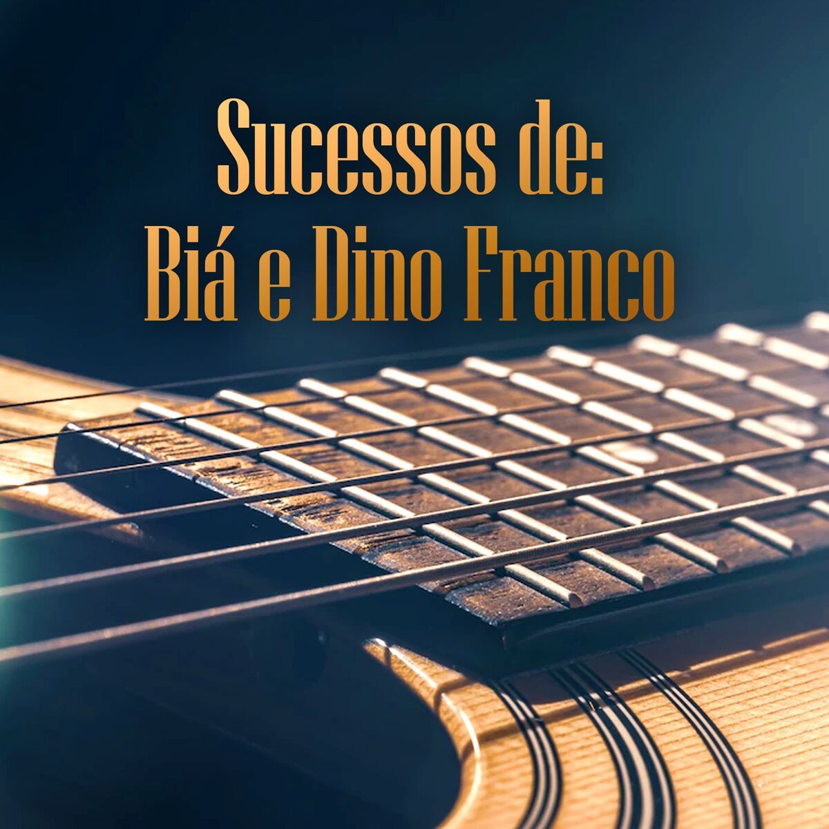 Album cover of Sucessos de: Biá e Dino Franco