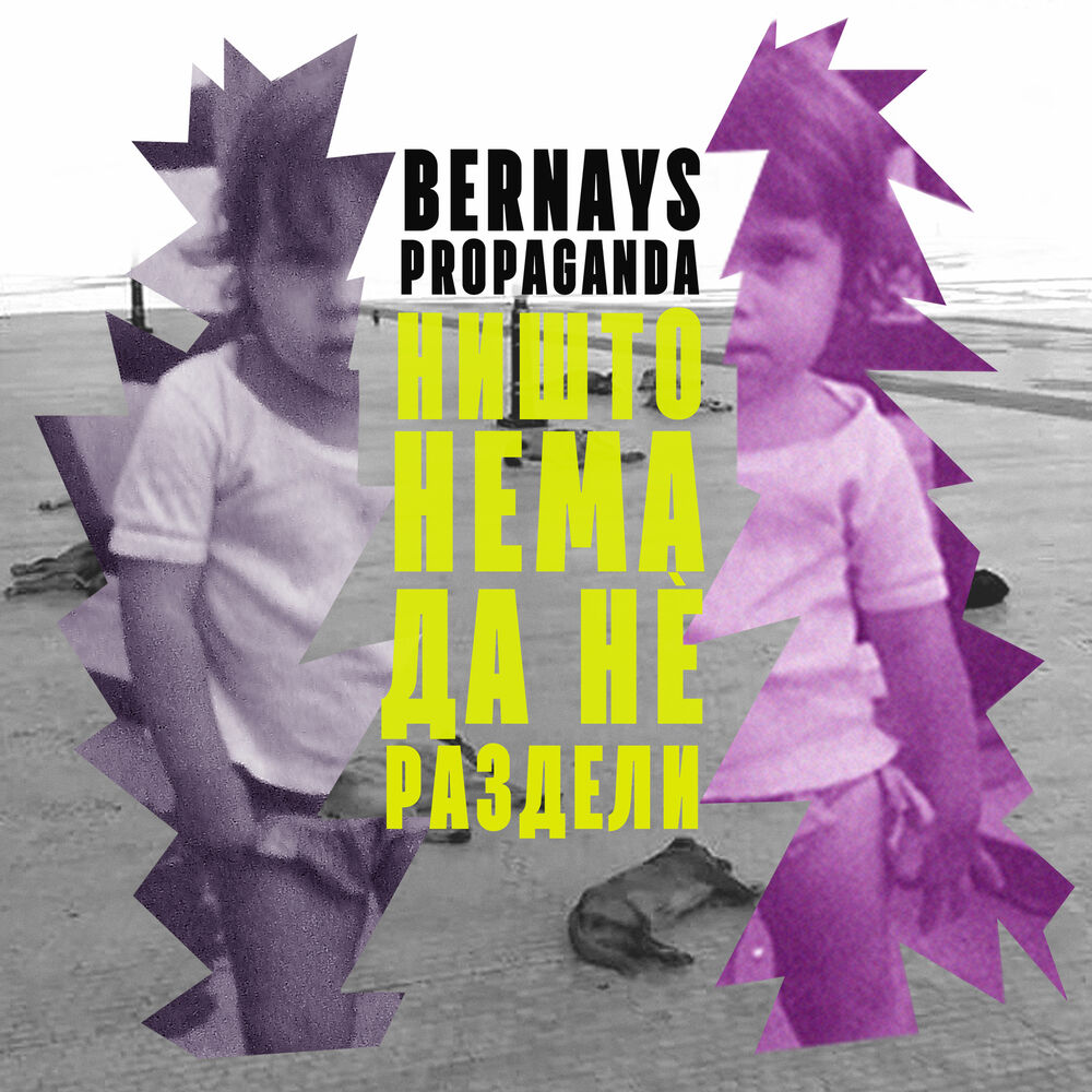 Picture of Bernays Propaganda - Ništo nema da ne razdeli