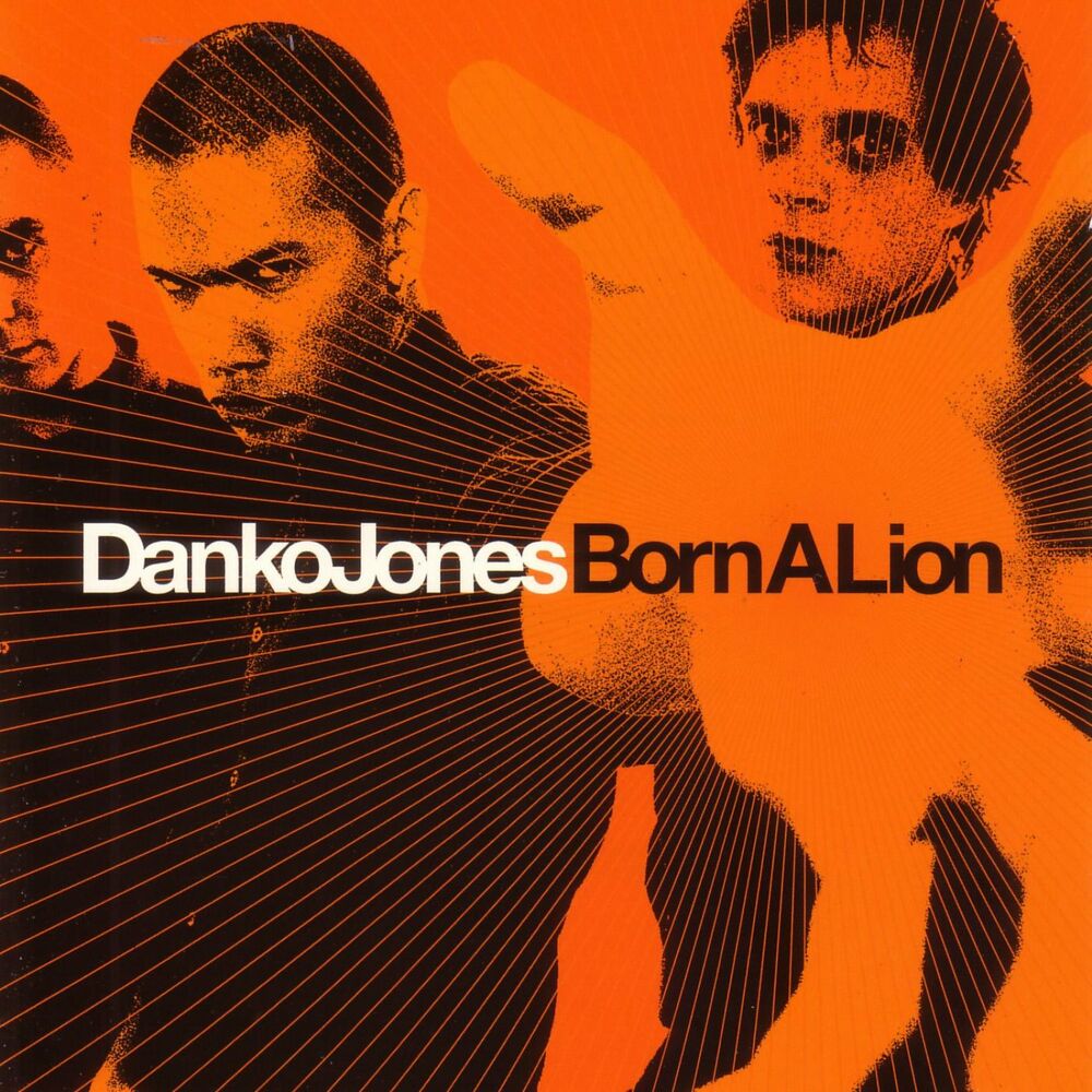 Picture of Born A Lion