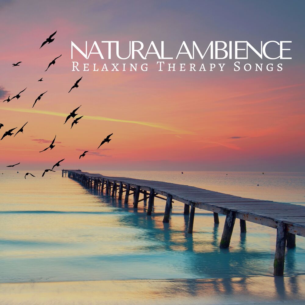 Picture of Natural Ambience: Relaxing Therapy Songs, Yoga Meditation, Spa, Massage, Soothing Sounds for Sleep