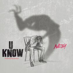 Cover of You Know