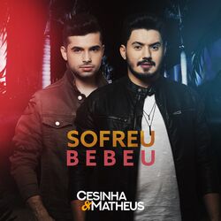 Cover of Sofreu Bebeu (Ao Vivo)