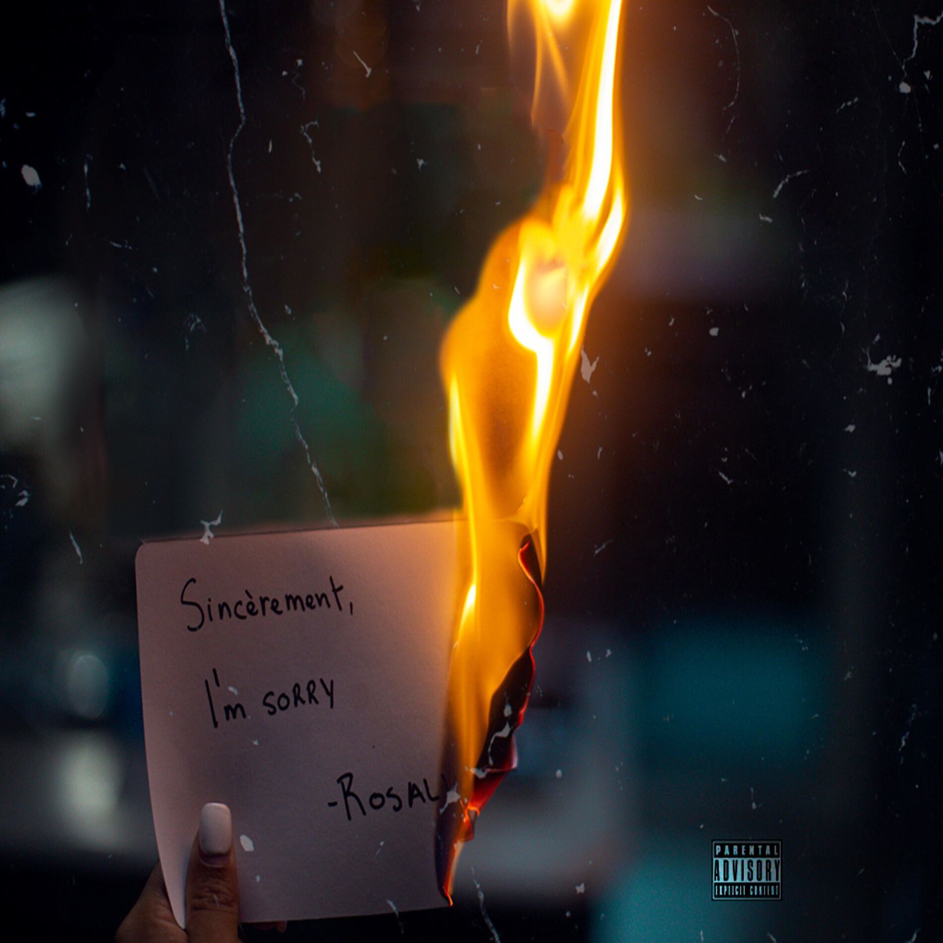 Album cover of No Love