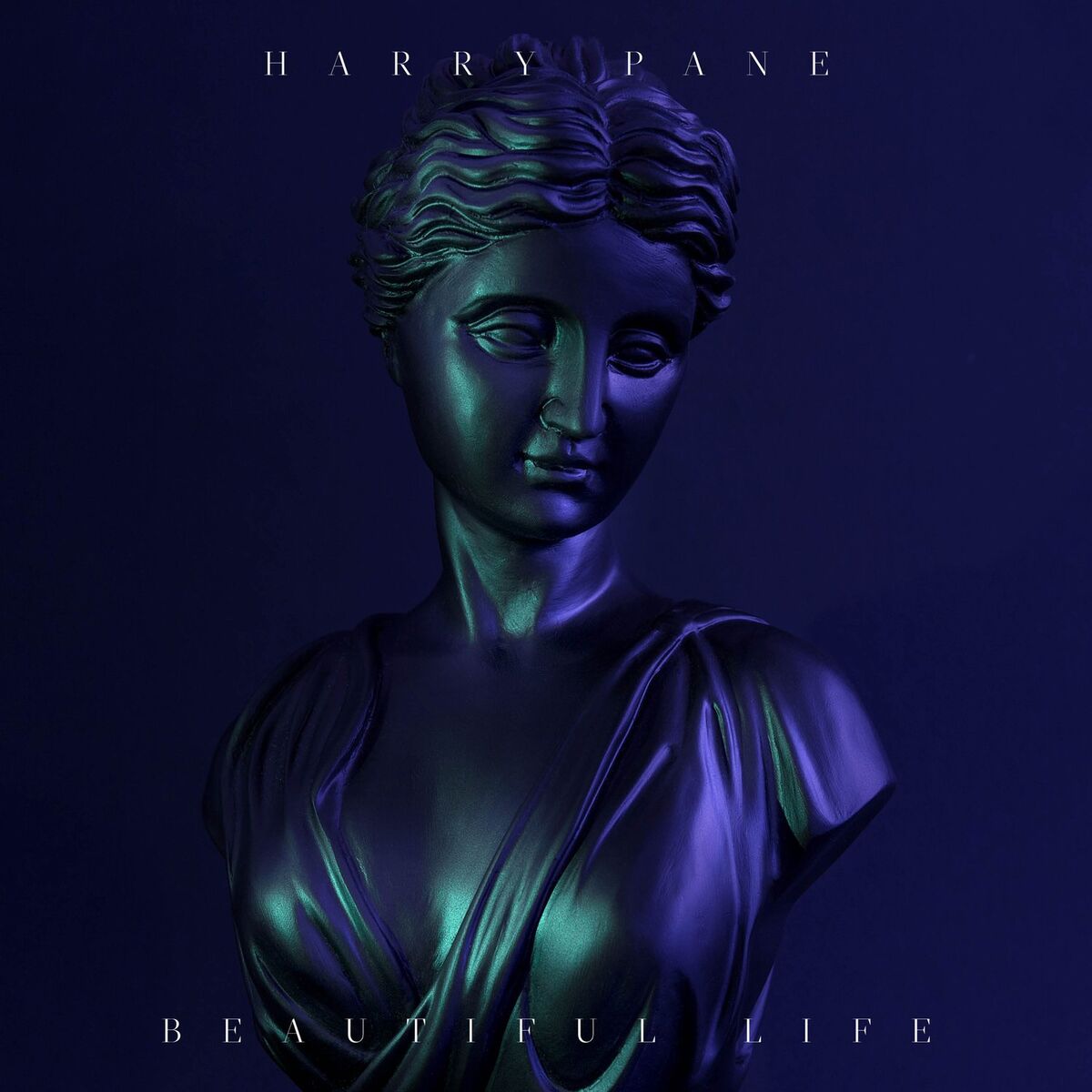 Album cover of Beautiful Life