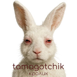 Кролик