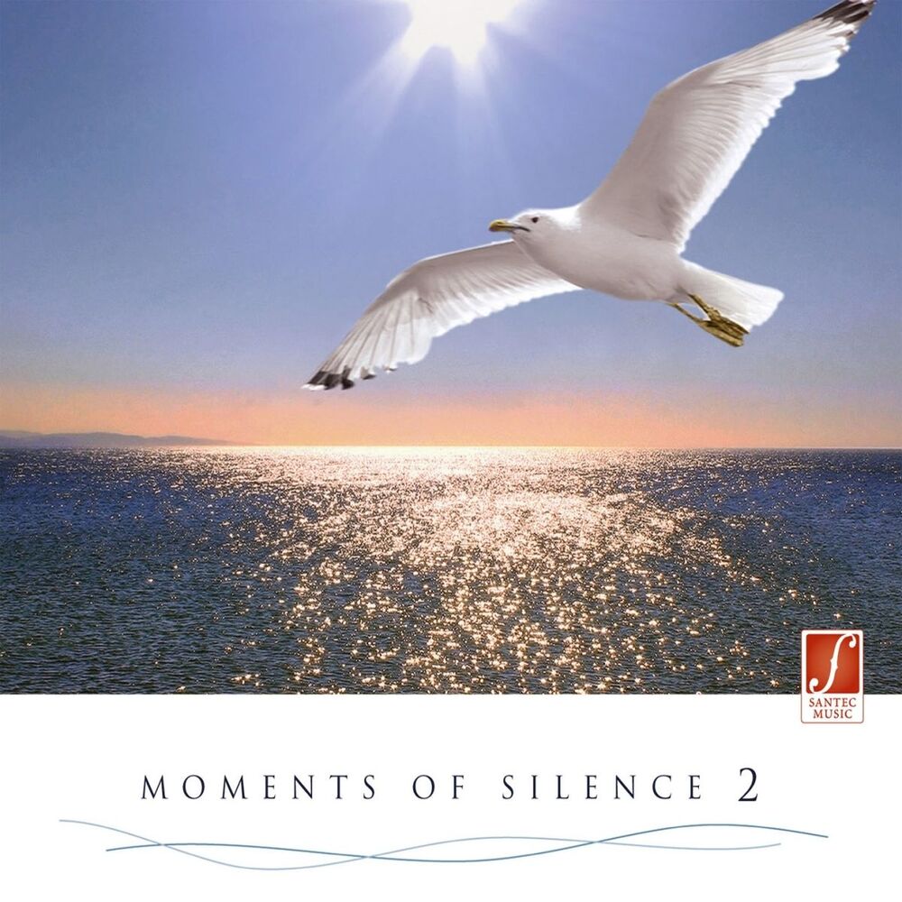 Picture of Moments of Silence, Vol. 2 (Vol. 2 of Our Most Popular Relaxation Music)
