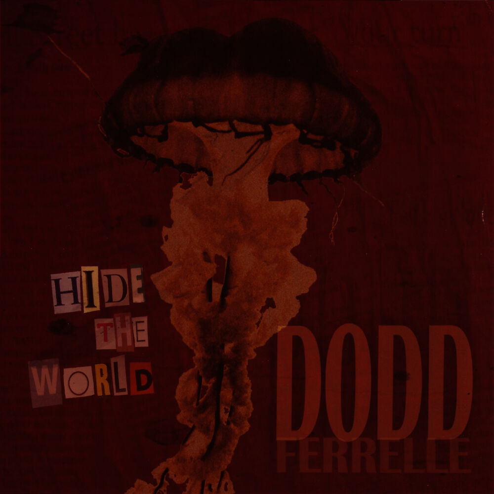 Picture of Hide the World