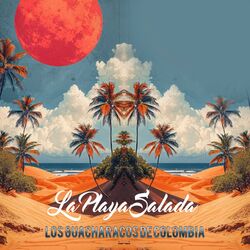 Cover of La Playa Salada