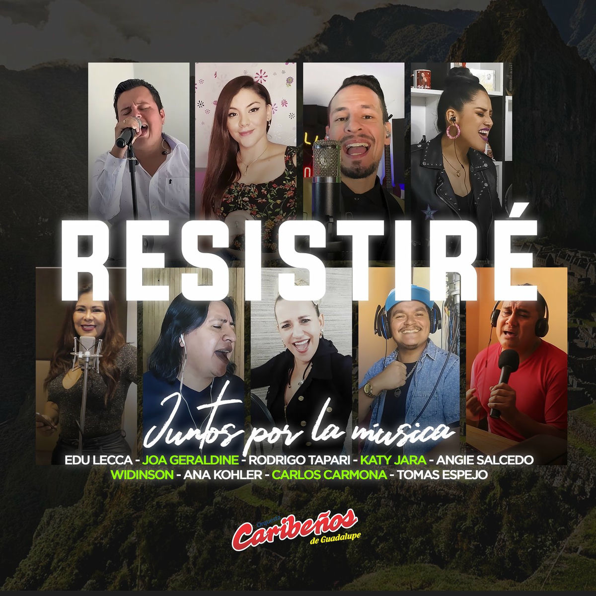 Album cover of Resistiré