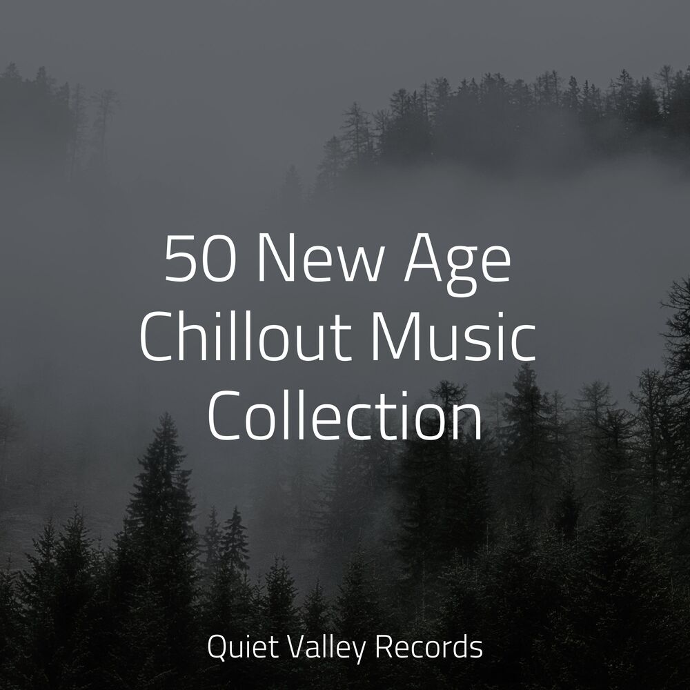 Picture of 50 New Age Chillout Music Collection