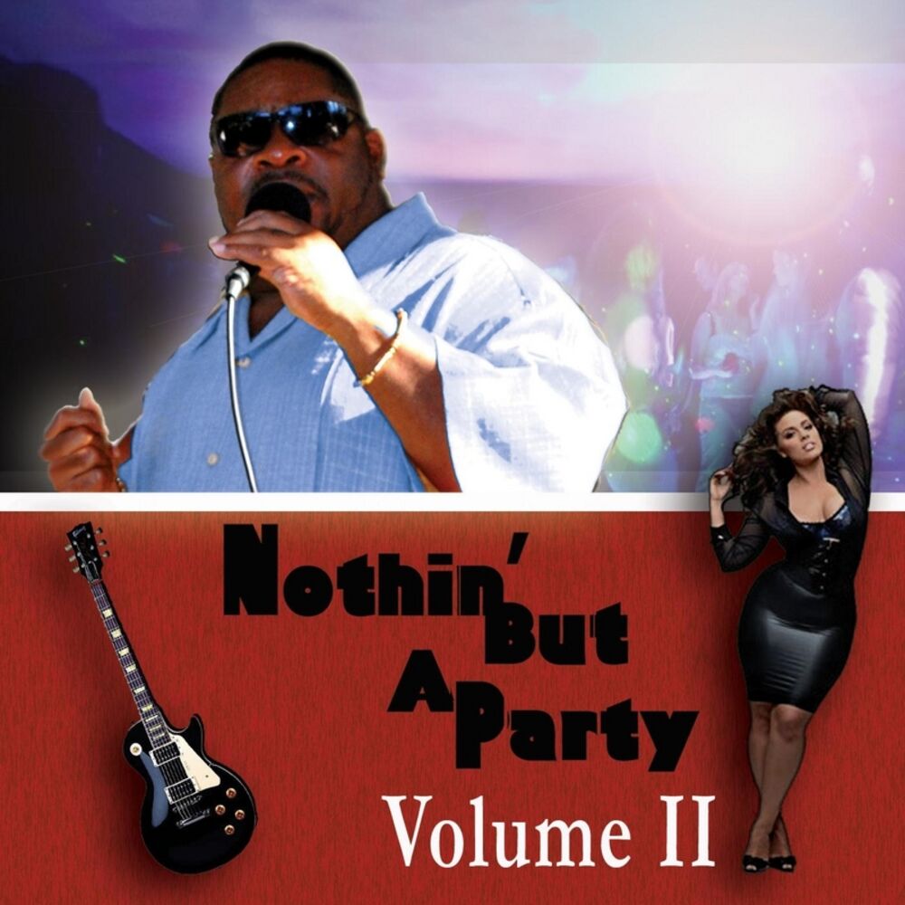 Picture of Nothin but a Party, Vol. II
