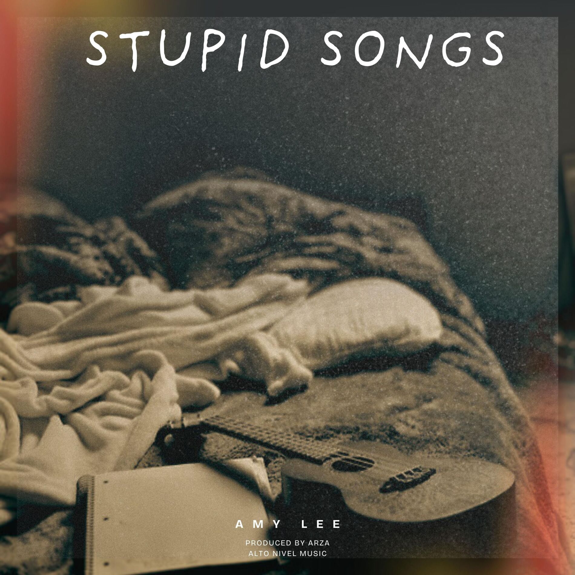Album cover of Stupid Songs