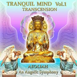 Cover of Tranquil Mind, Vol. 1: Transcension