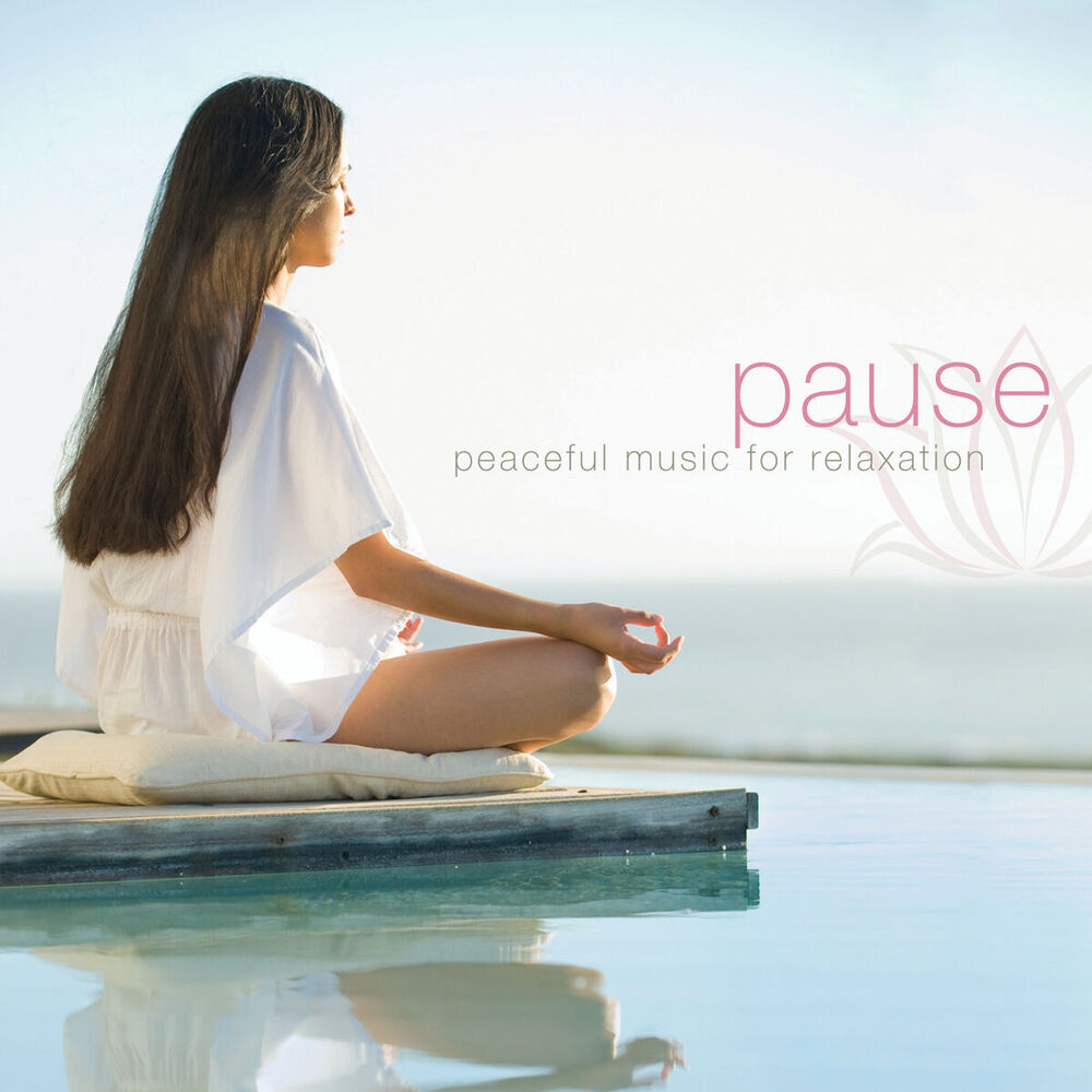 Picture of Pause