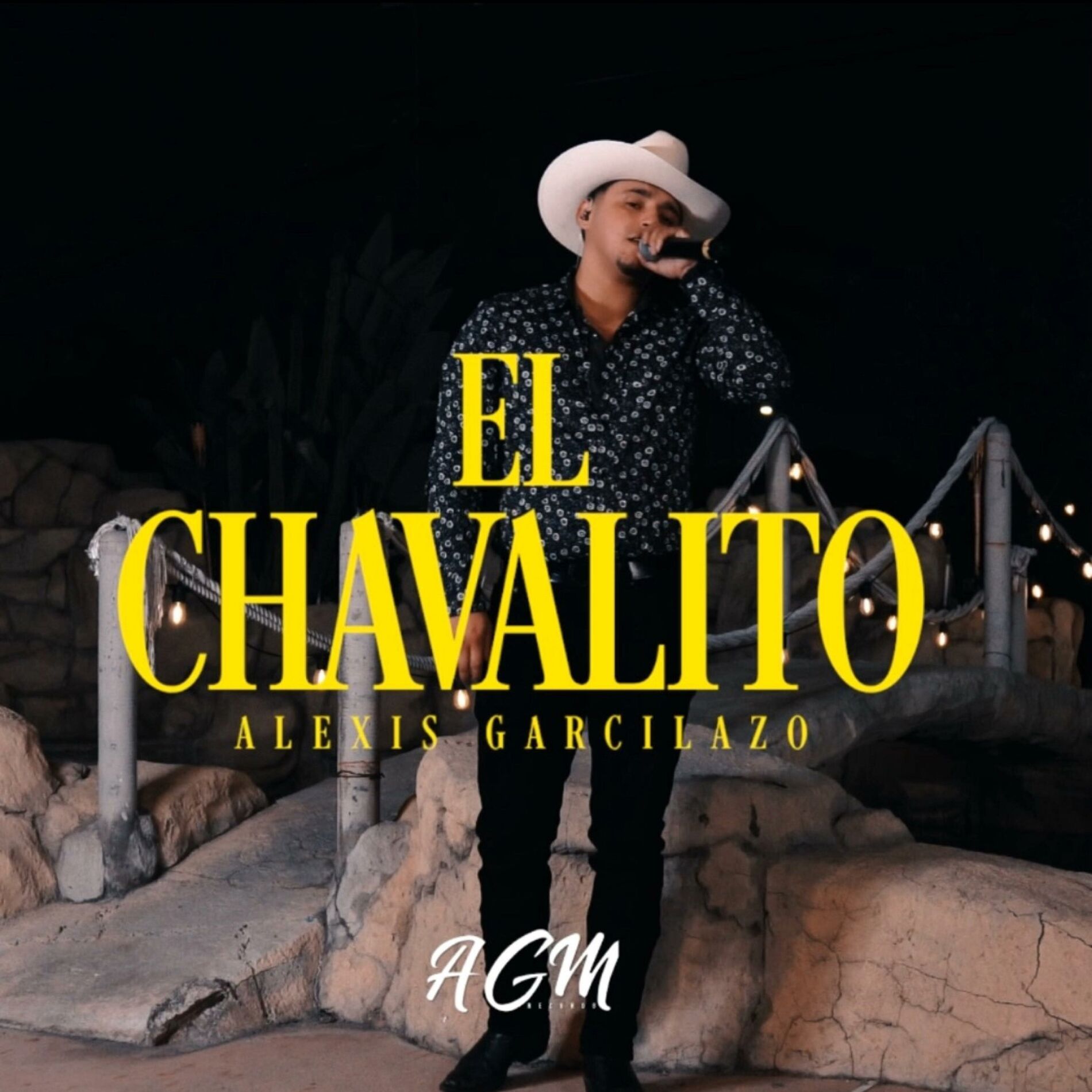Album cover of EL CHAVALITO