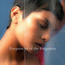 Cover of Frequencies of the Forgotten: Floating in Tranquility