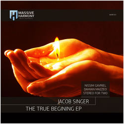 Cover of The True Begining by undefined