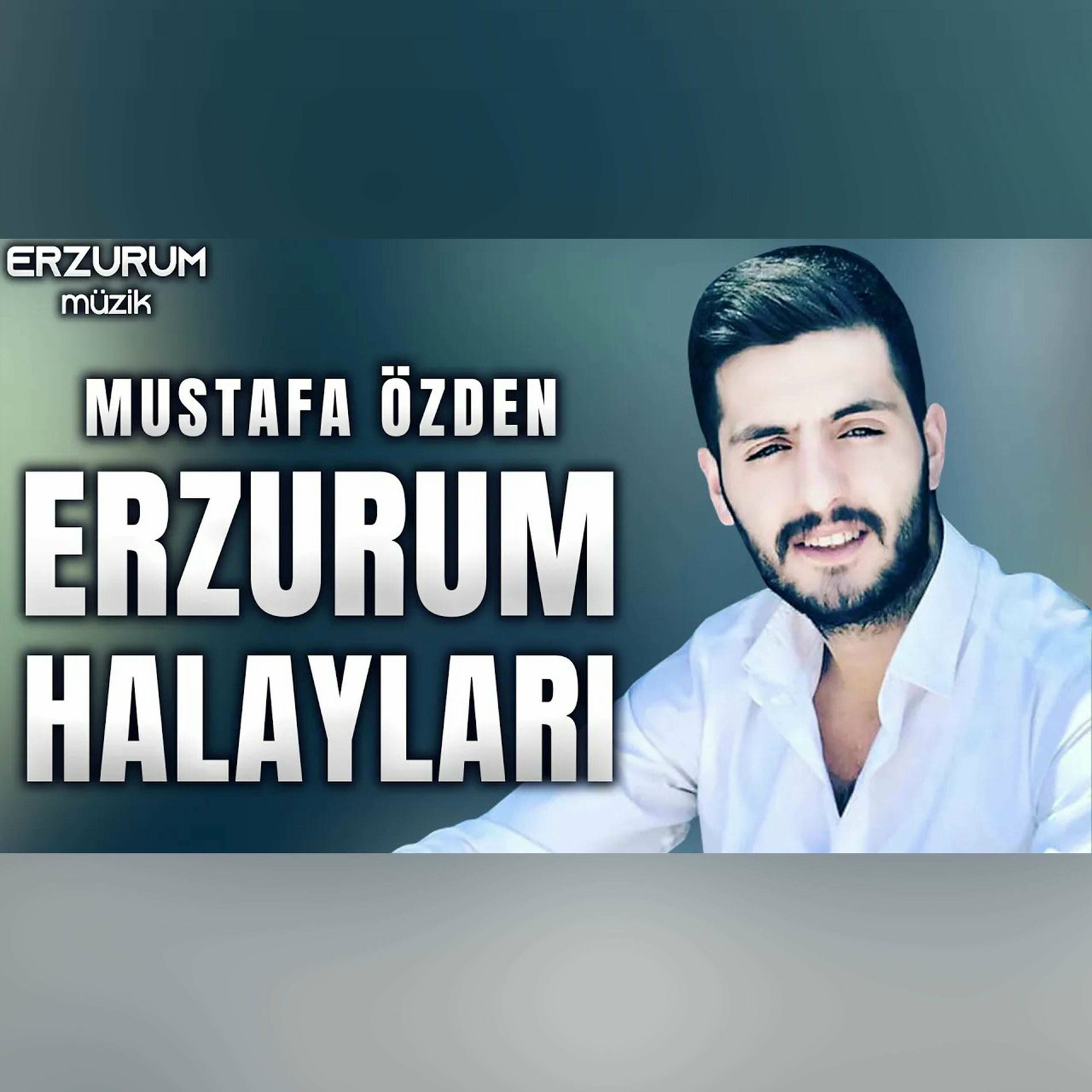 Album cover of Erzurum Halayları (Oy Naim)