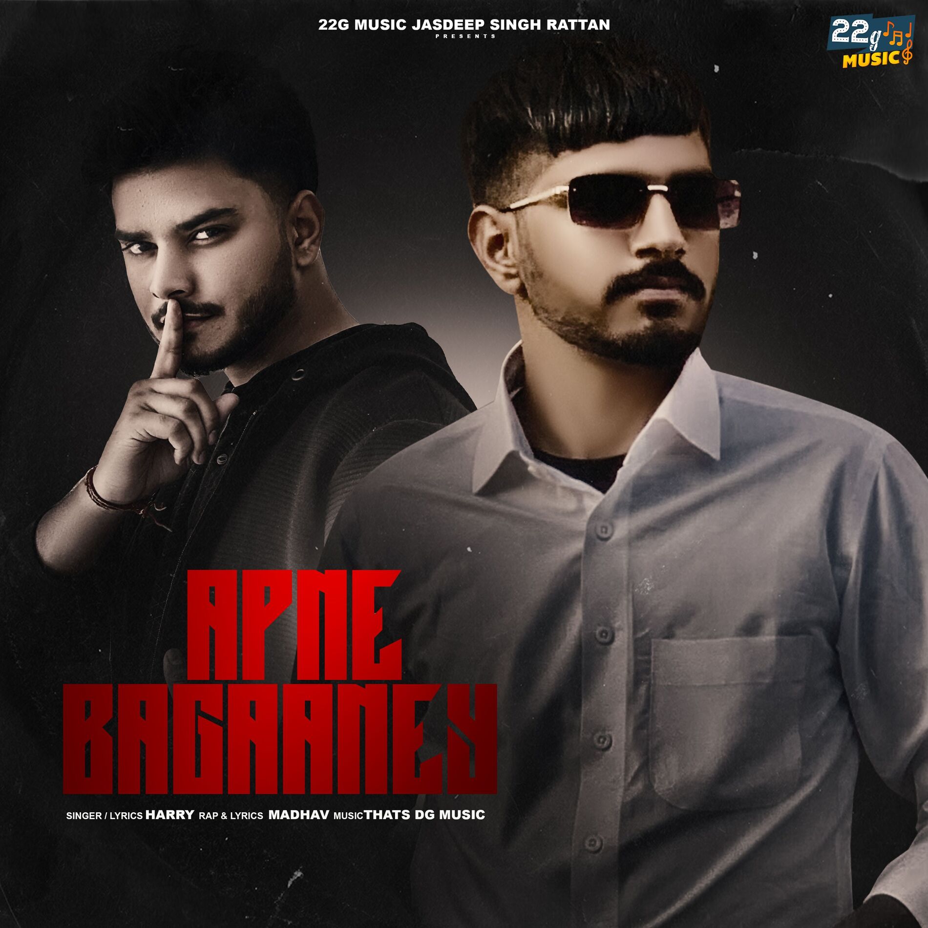 Album cover of Apne Bagaaney