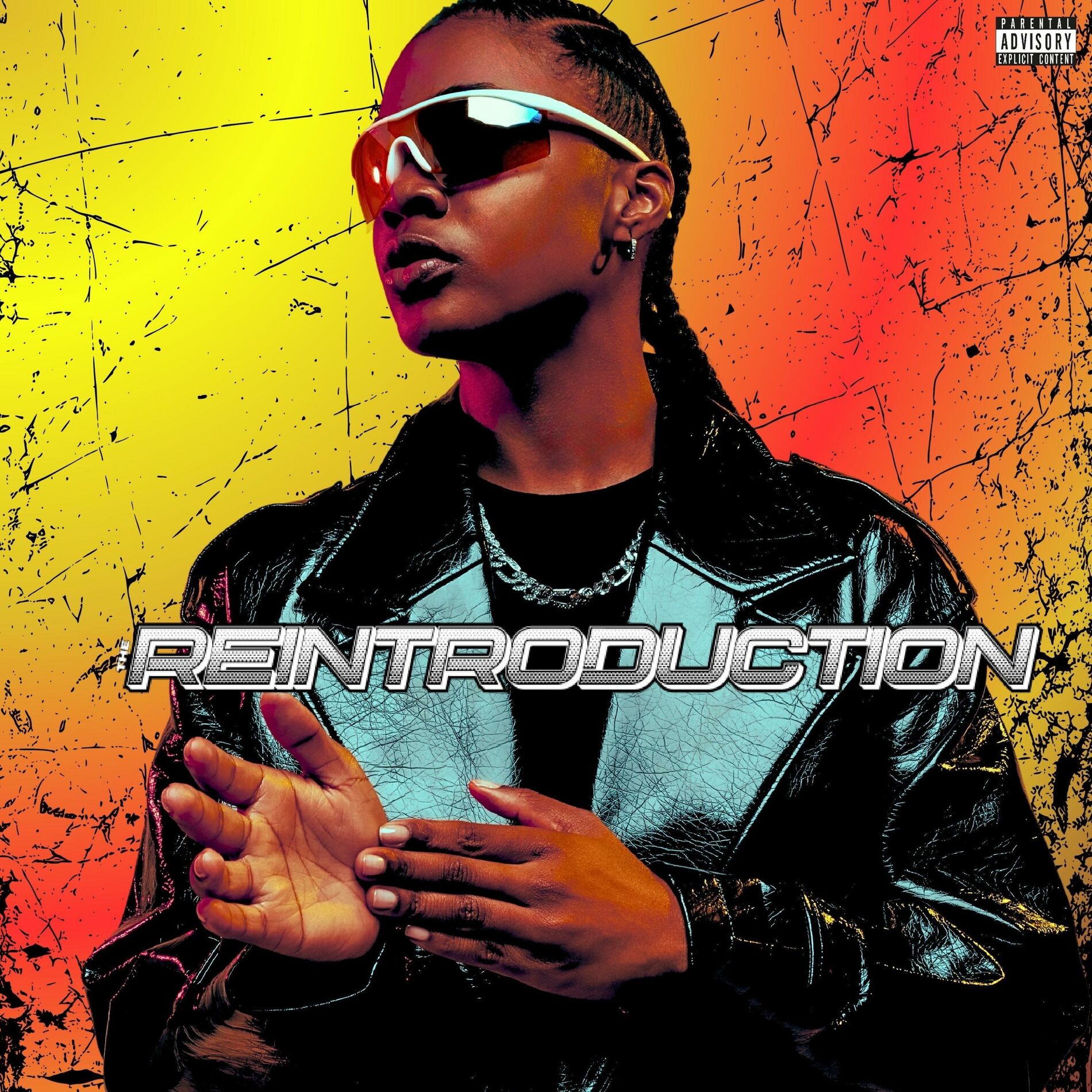 Album cover of THE REINTRODUCTION
