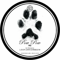 Cover of Pow Pow