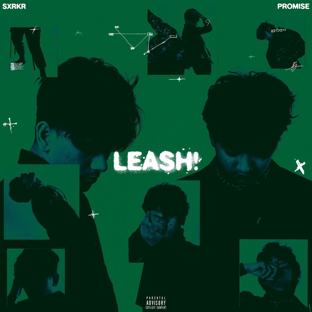 Picture of leash! (feat. anxious)