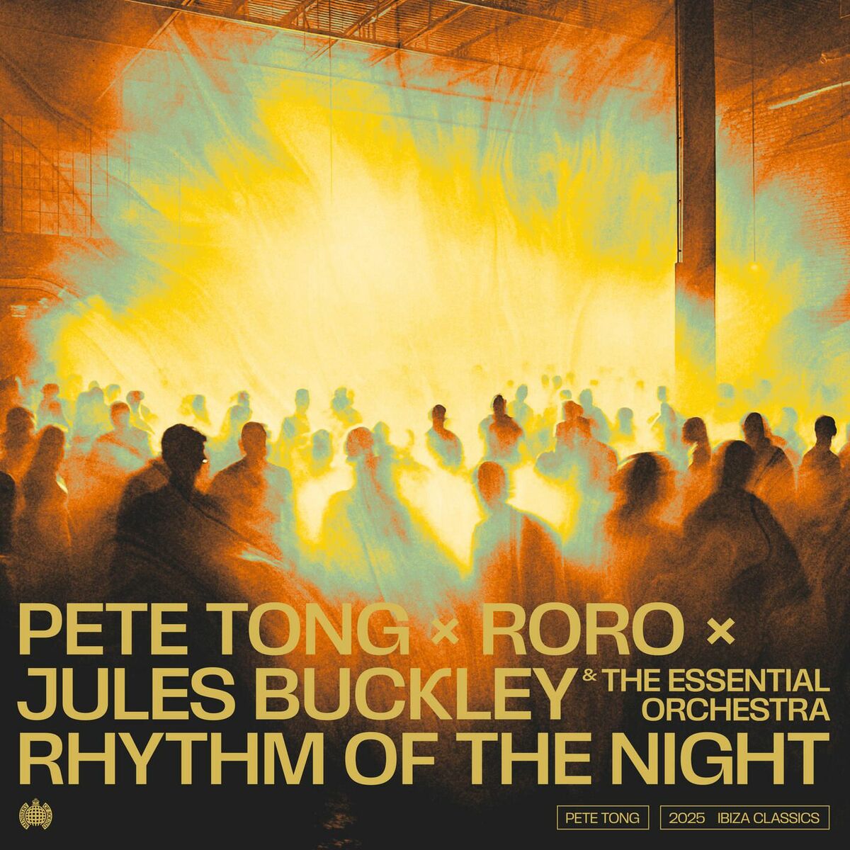 Album cover of Rhythm Of The Night (feat. Jules Buckley & The Essential Orchestra)