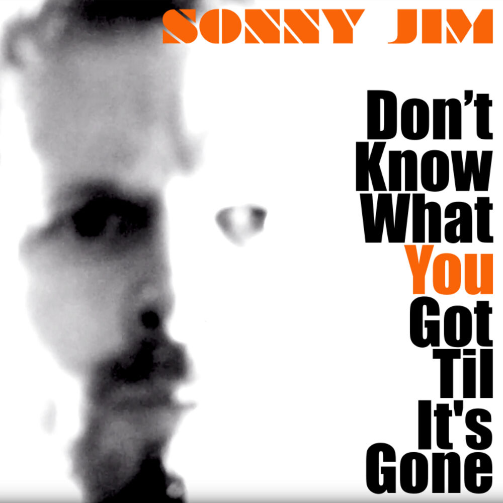 Picture of Don't Know What You Got Til It's Gone
