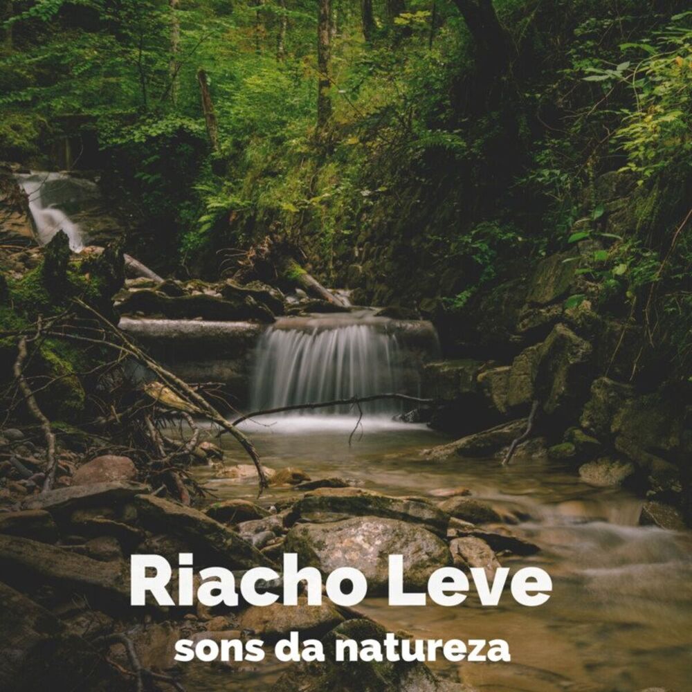 Picture of Riacho Leve