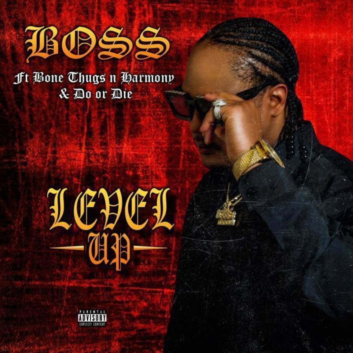 Album cover of Level Up